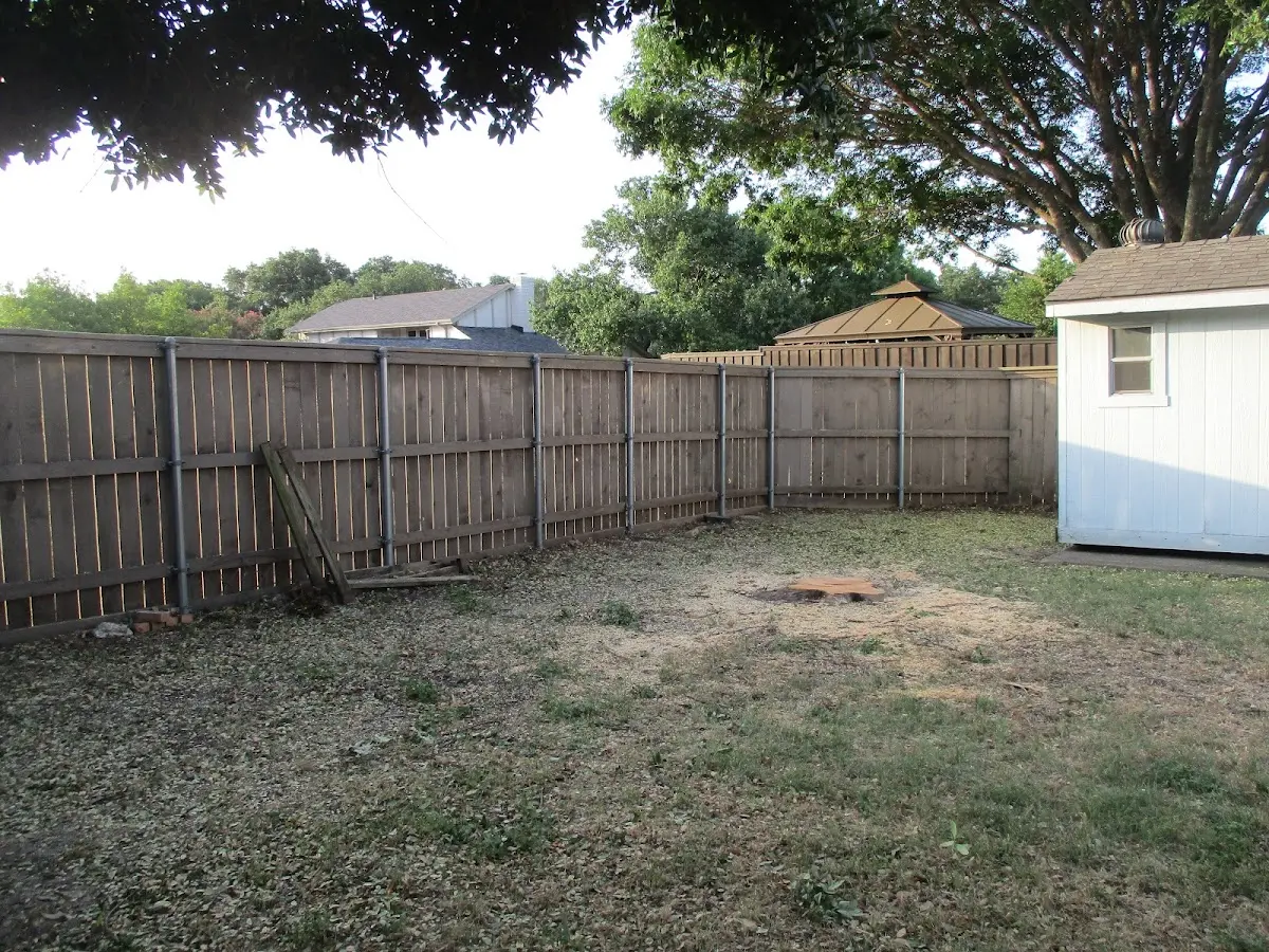 Cleared yard after professional tree removal in Chandler